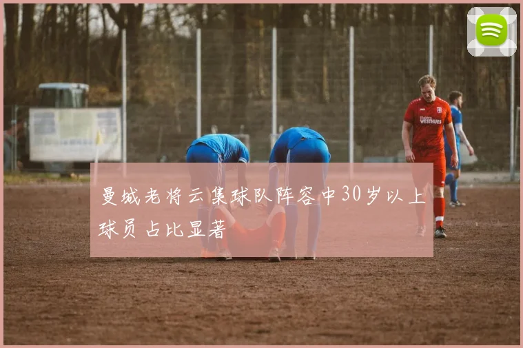 曼城老将云集球队阵容中30岁以上球员占比显著